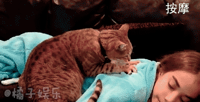 399_204gif 动态图 动图